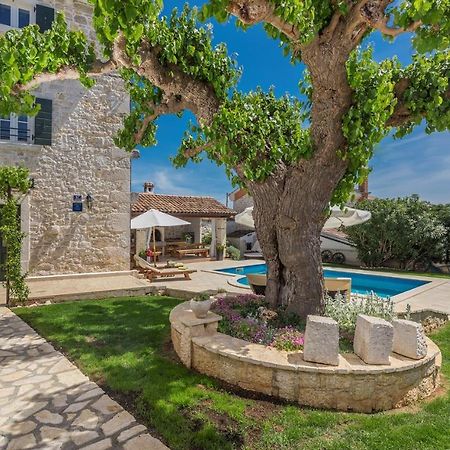 Beautiful Stone House - Villa Parentium With Private Pool Dracevac Ngoại thất bức ảnh